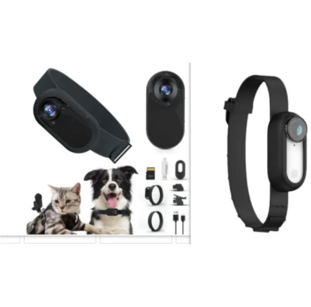 Pet collar camera with two-way audio for cats and dogs